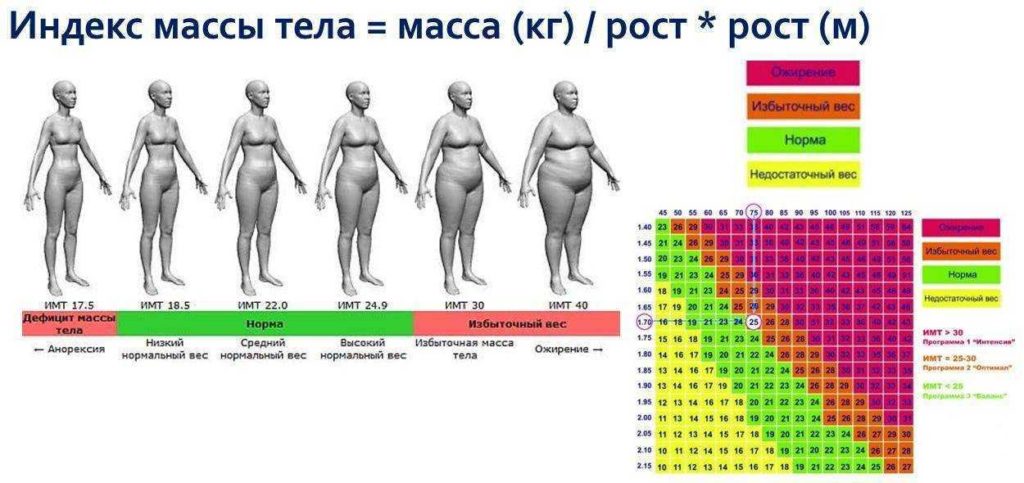 Индекс массы тела (ИМТ)