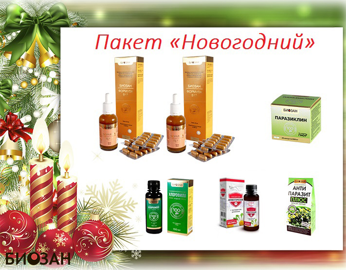 ПАКЕТ «НОВОГОДНИЙ»