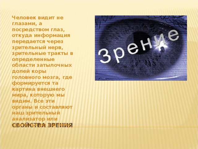 Как зрение формирует наше воображение и влияет на восприятие мира вокруг нас