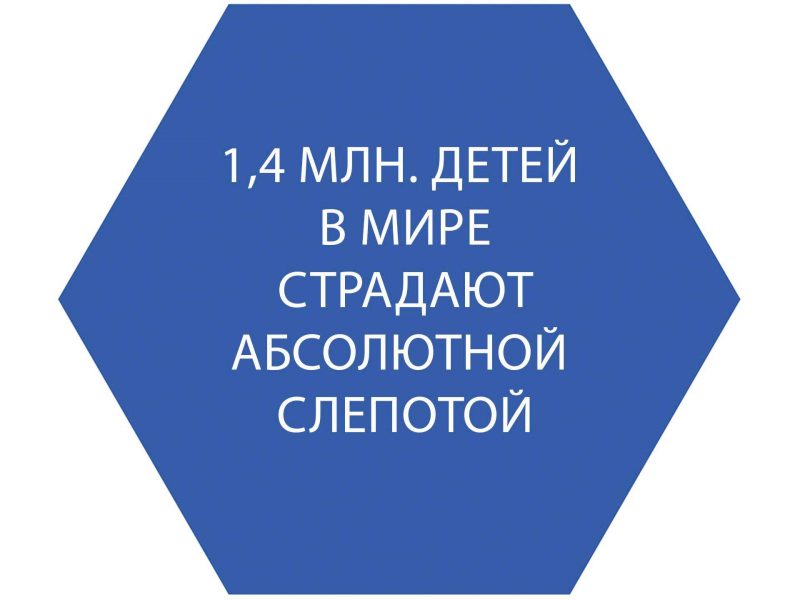 «Пути к полноценной жизни с нарушениями зрения»