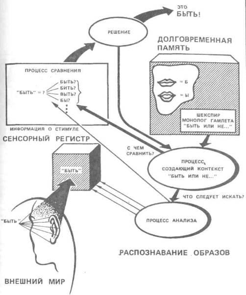 В Каких Магазинах Купить Книгу Гамезо